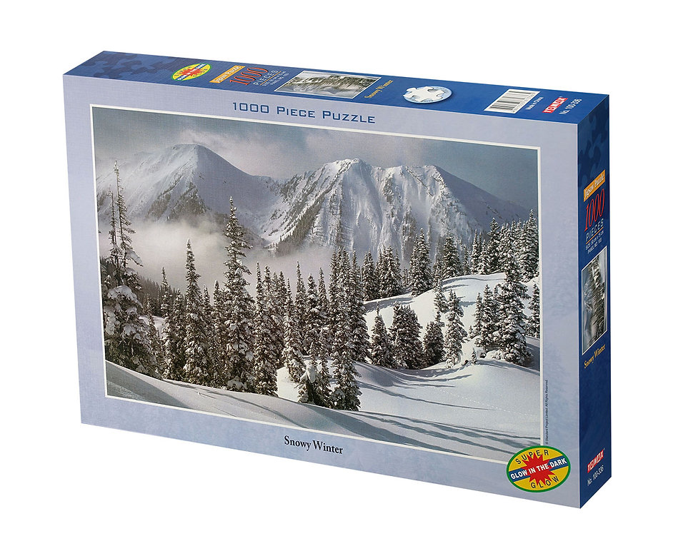 Snow Winter